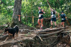 BIB: 
                            <button type="button" onclick="openModal(27555645)" class="btn btn-primary btn-sm float-right btn-popup" data-toggle="modal" data-target=".modal-high-quality">
                        <i class="fas fa-shopping-cart"></i> Add to Cart
                    </button>
                                            <button type="button" onclick="isThisMe(27555645, true)" class="btn btn-success btn-sm float-right btn-popup btn-isme hidden" data-toggle="tooltip" data-placement="bottom" title="นี่คือรูปของคุณใช่ไหม คลิกที่นี่เพื่อเอาเข้าอัลบั้ม">
                        <i class="fas fa-plus"></i> Add to album
                    </button>
                    <button type="button" onclick="isThisMe(27555645, false)" class="btn btn-warning btn-sm float-right btn-popup btn-isnotme hidden">
                        <i class="fas fa-ban"></i> Remove from album
                    </button>